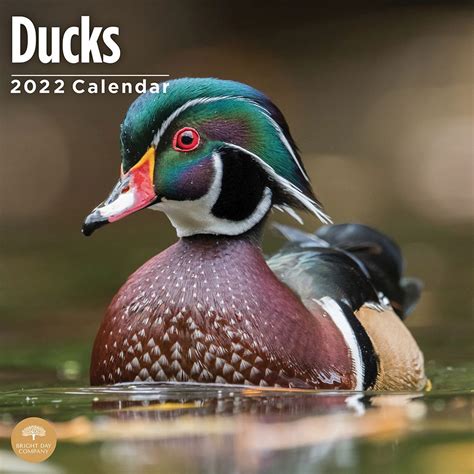 Du Calendar 2022